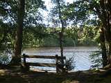 Impression von der Thülsfelder Talsperre